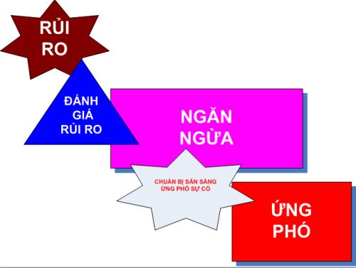 Đánh giá rủi ro và ứng phó