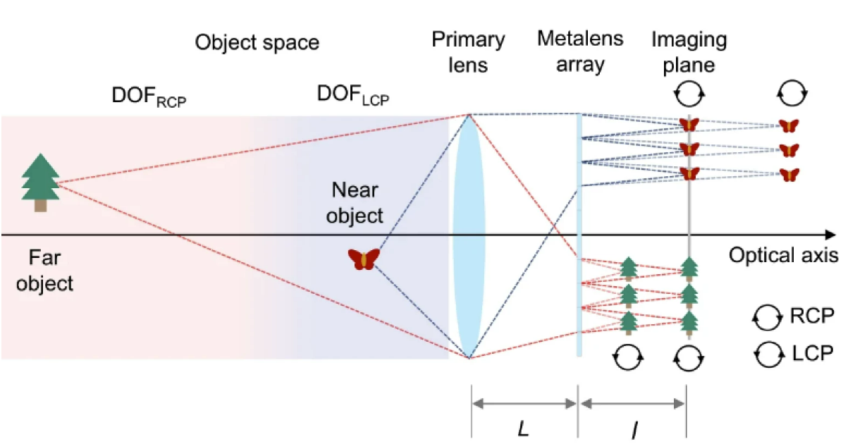 Hai tiêu cự được xác định bằng phân cực tròn và hai tiêu cự khác được xác định bằng tạo hình metalens, được khớp với nhau sao cho các tiêu điểm gần và xa có thể hội tụ tại cùng một mặt phẳng hình ảnh